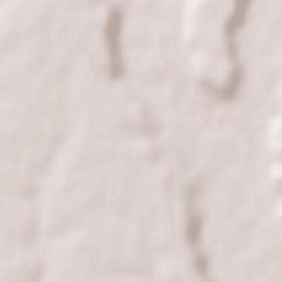 Alunișu Terrain Map