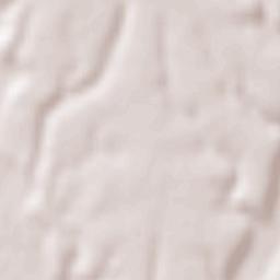 Bărăștii de Vede Terrain Map