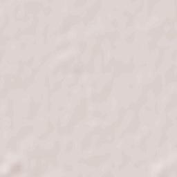 Sălcioara Terrain Map