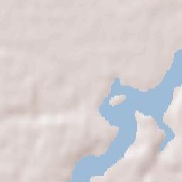 Siliștea Snagovului Terrain Map