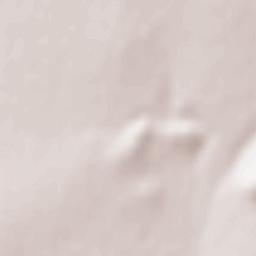 Casimcea Terrain Map