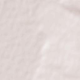 Praskoveya Terrain Map