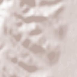 Comuna Lăcusteni Terrain Map