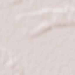 Conțești Terrain Map