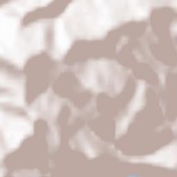 Loazzolo Terrain Map