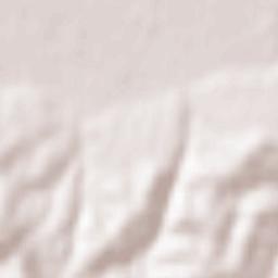 Petkovica Terrain Map