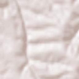 Sremčica Terrain Map