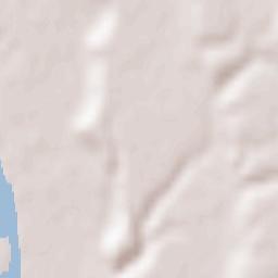 Dumitrești Terrain Map