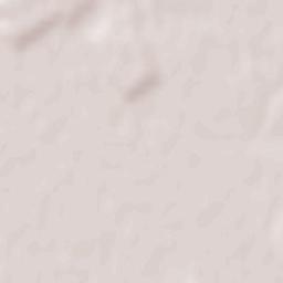 Oraş Rãcari Terrain Map