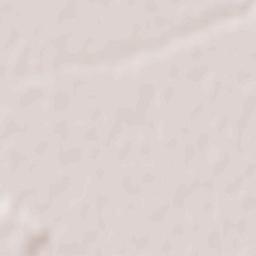 Butimanu Terrain Map