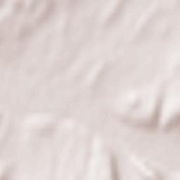 Kholmovka Terrain Map