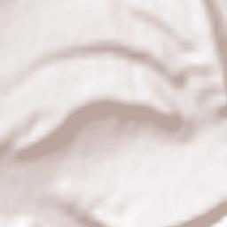 Tankovoye Terrain Map