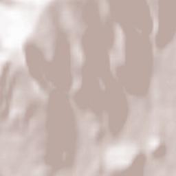 Marsanne Terrain Map