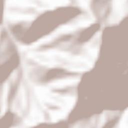 Mongiardino Ligure Terrain Map