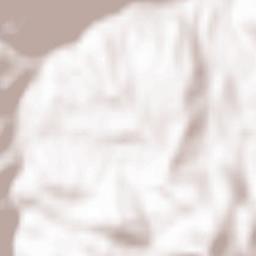 Ferriere Terrain Map