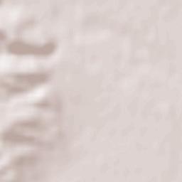 Municipiul Drãgãşani Terrain Map