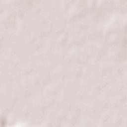 Condeești Terrain Map