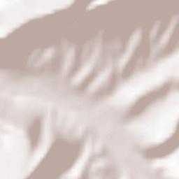 Kuibyshevo Terrain Map