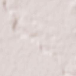 Besskorbnaya Terrain Map