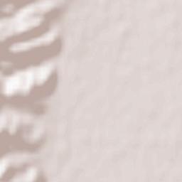 Verzuolo Terrain Map