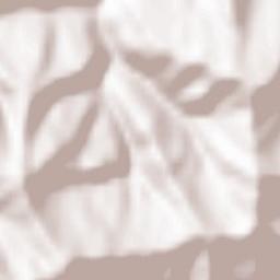 Roccaverano Terrain Map