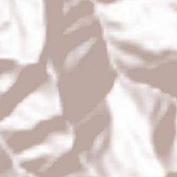 Carrega Ligure Terrain Map