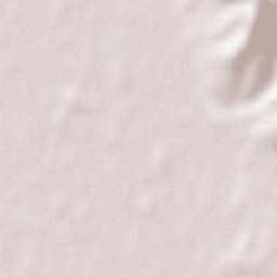 Donji Dobrić Terrain Map