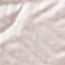 Sinošević Terrain Map