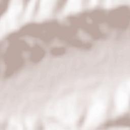 Ciochiuța Terrain Map