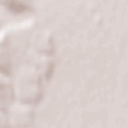 Ştefăneşti Terrain Map