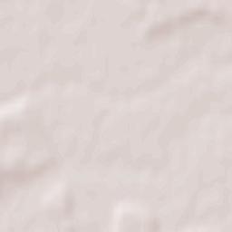 Dascălu Terrain Map