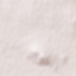 Spasskoye Terrain Map