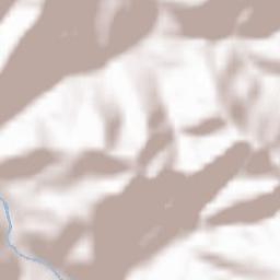 Savignone Terrain Map