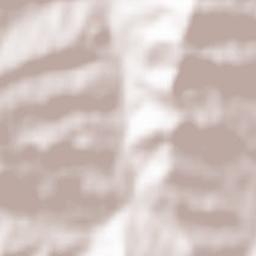 Neviano degli Arduini Terrain Map