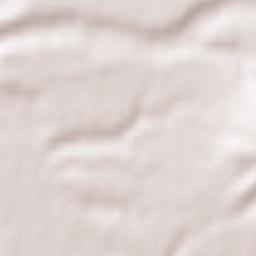 Oraş Filiaşi Terrain Map