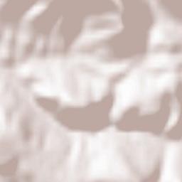 Ternovka Terrain Map