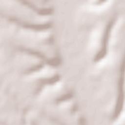 Bulzeşti Terrain Map