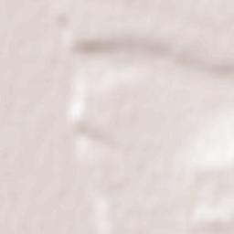 Vladimirskaya Terrain Map