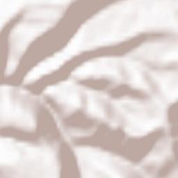 Bonvicino Terrain Map