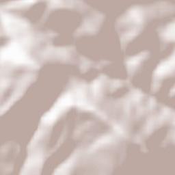 Sviniţa Terrain Map