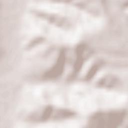 Livezile Terrain Map