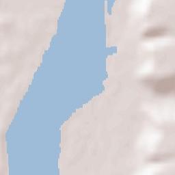 Curtişoara Terrain Map