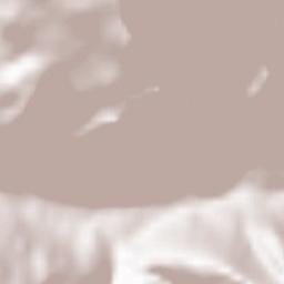 Acceglio Terrain Map