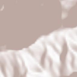 Prazzo Superiore Terrain Map