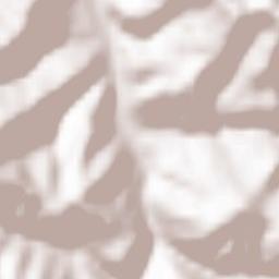 Castelletto Uzzone Terrain Map