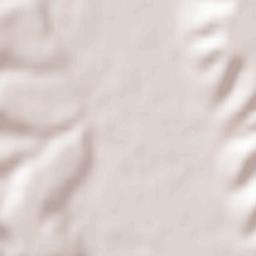 Goiești Terrain Map