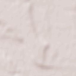 Comuna Pleşoiu Terrain Map