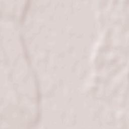 Pleşoiu Terrain Map