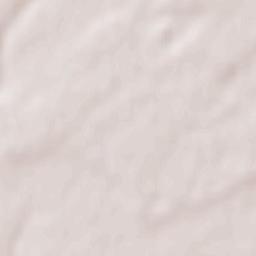 Piteasca Terrain Map