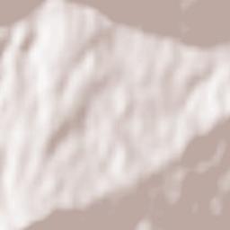 Vinogradnoye Terrain Map